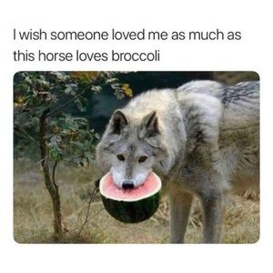 Meet your Posher, Elijah